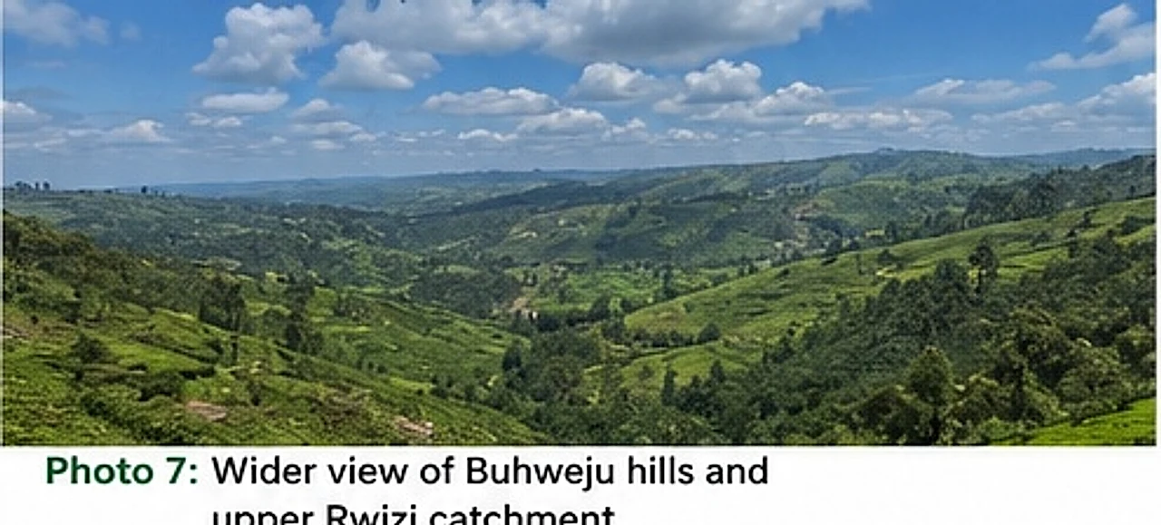 Panorama of green hills and valleys forming the upper catchment
