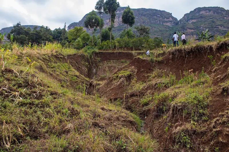 A deep erosion gully cut into a hillside by water run-off