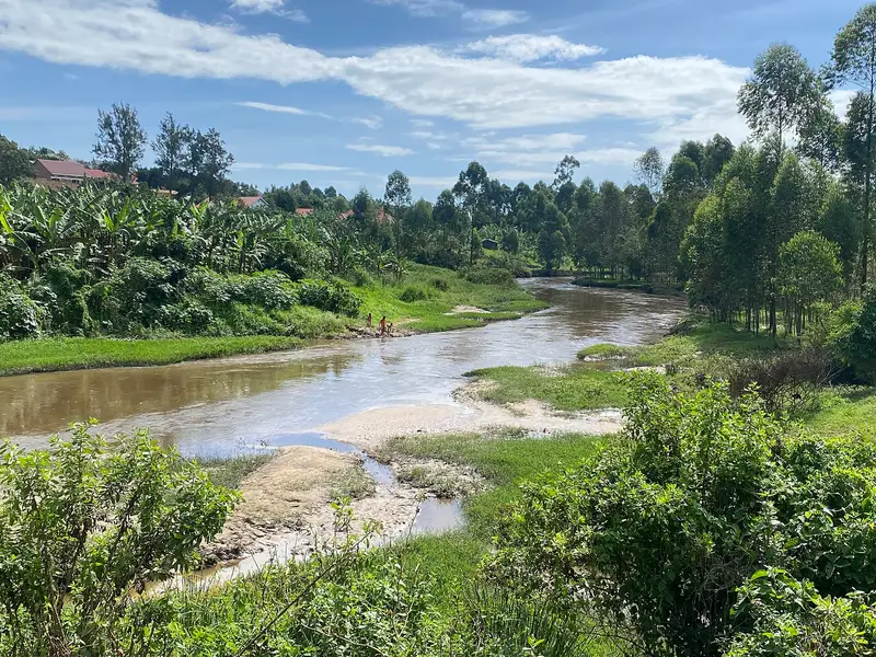 Sand deposits and green vegetation on the bank of the River Rwizi