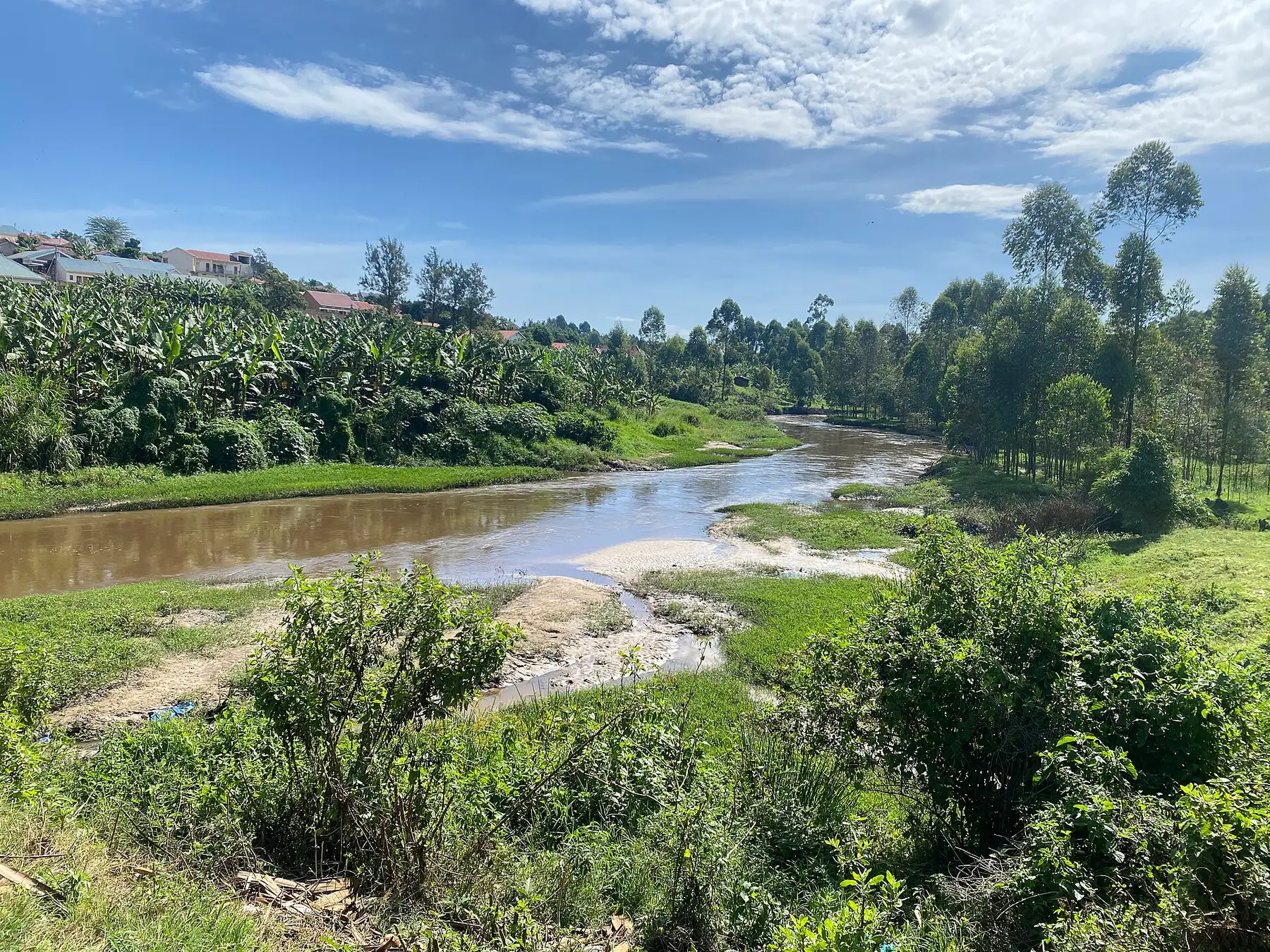 Sand and silt deposits on the bank of the River Rwizi with vegetation and cultivated ground behind