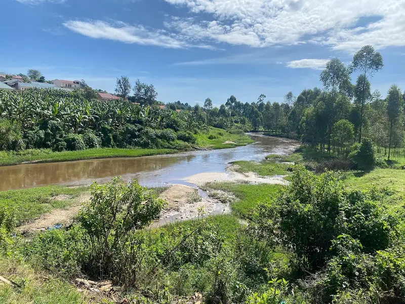 Sand and silt deposits on the bank of the River Rwizi with vegetation and cultivated ground behind